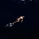 Delphintauchen-Tiefenrekorde