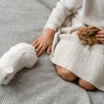 Kaninchen graben Tiefe Erklärung