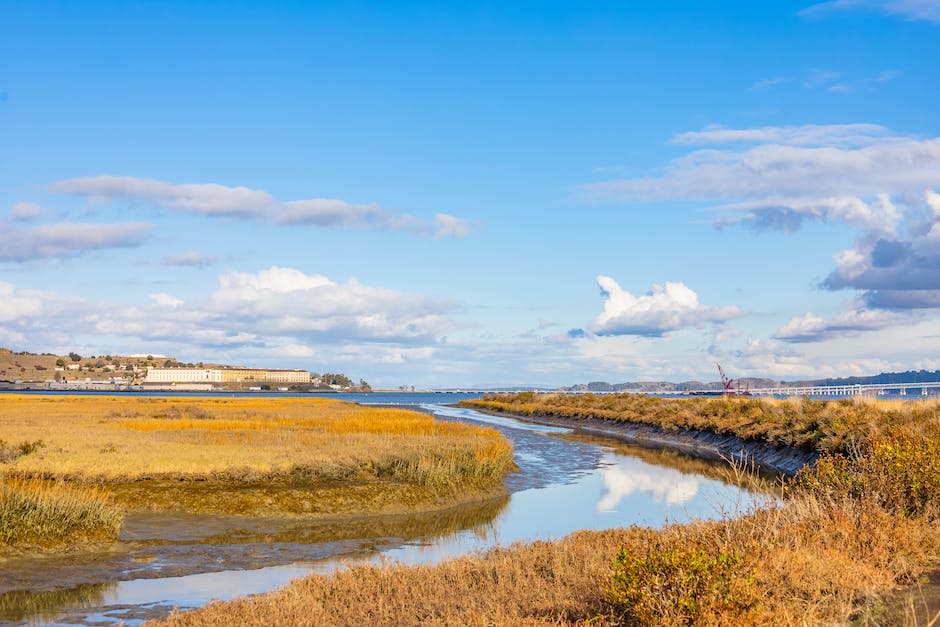 Tiefstes Meer der Welt: Mariana Tiefsee